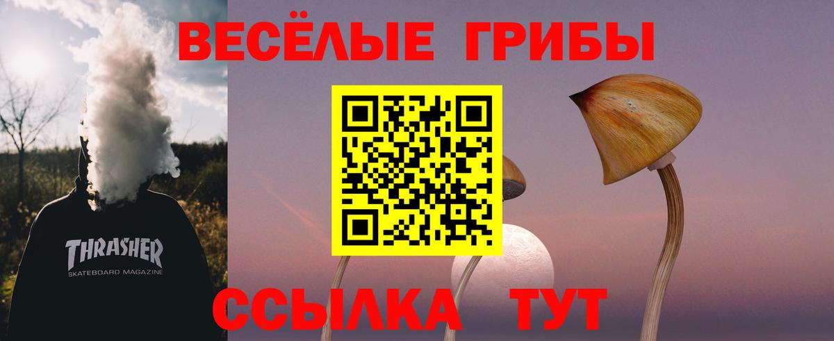 Псилоцибиновые грибы Cubensis Ковров
